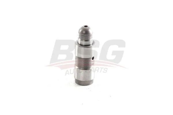 Supap Tapet  BMW X5 Serisi (E70)(07.2007->)  INA 420 0195 10