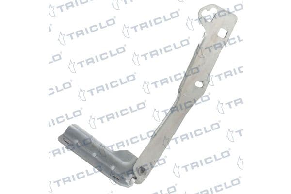 Motor Kaput Menteşesi Sol Dacia Duster I (03.2010->)  BITAPART BDA276001