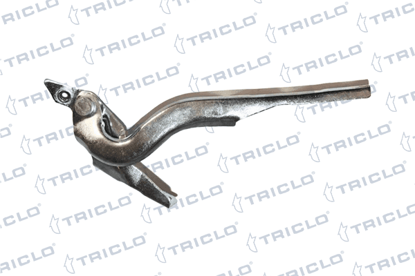 Motor Kaput Menteşesi Sol Citroen Berlingo Van (03.2008->)  BITAPART BPE276011
