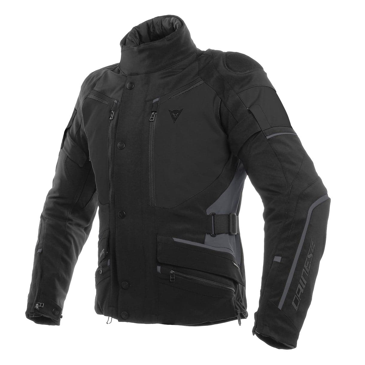Dainese Dainese Carve Master 2 Black Ebony Gore-Tex Mont