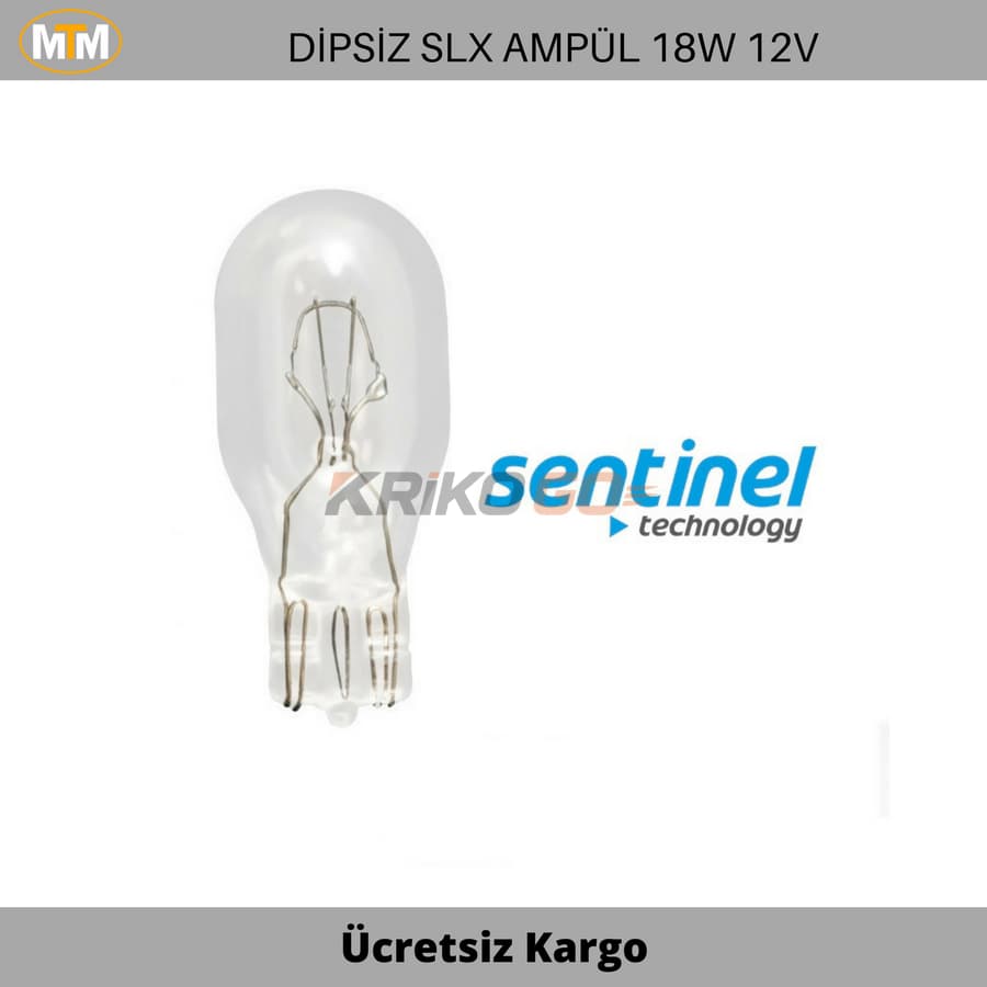 T15 16W Dipsiz Ampül 12V (2 Adet)