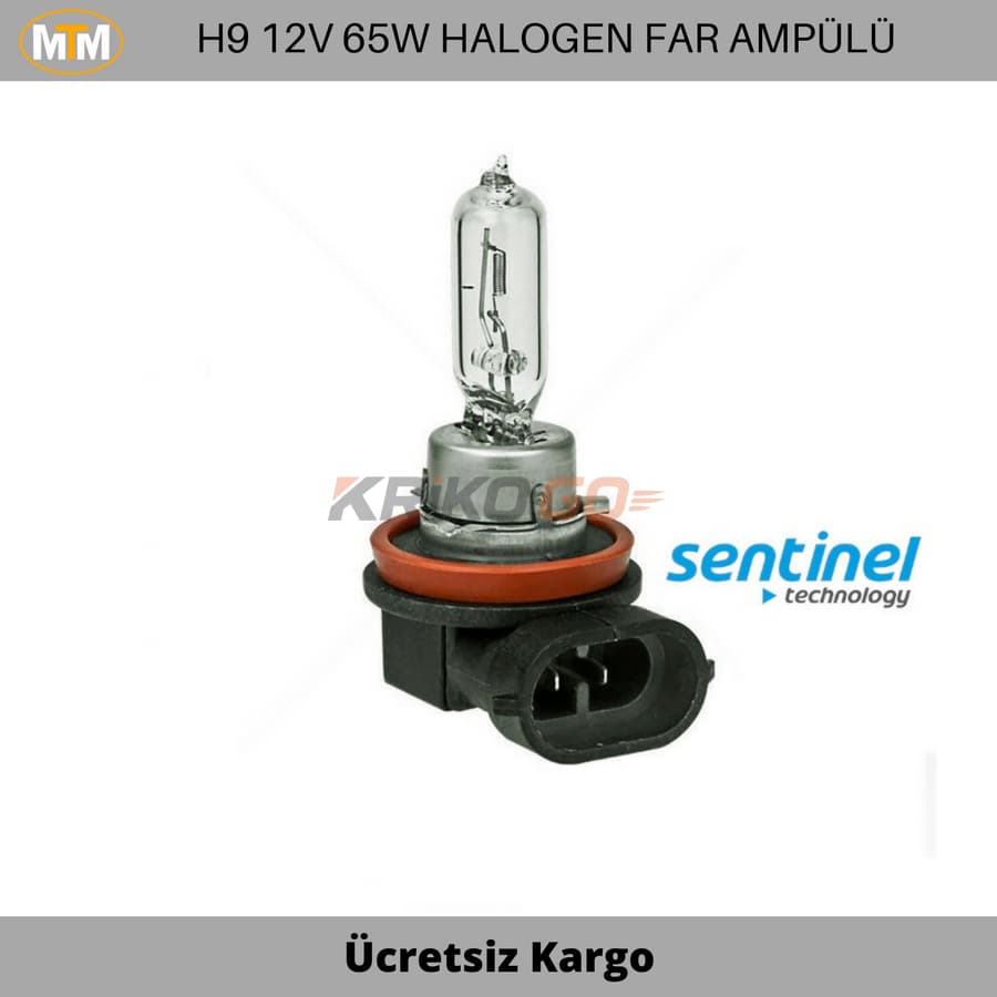 H9 Halogen Far ve Sis Ampülü 12V 65W