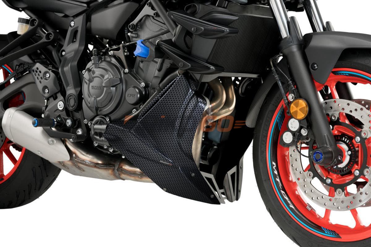 Puig 20624C Karbon Motor Koruma