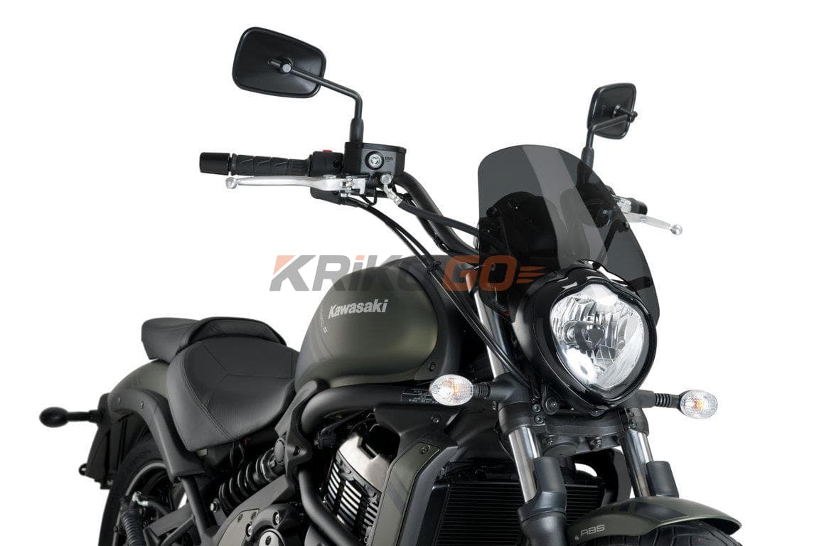 Puig 3175F Koyu Füme Ön Cam